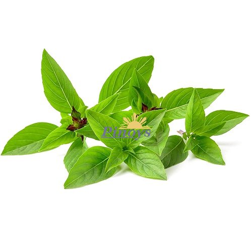 Thai basil leaves 100 g