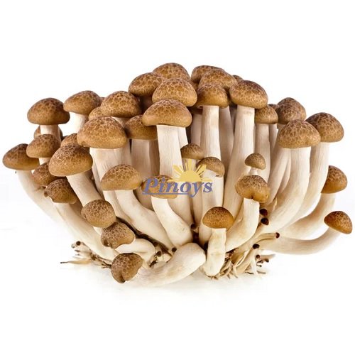 Houby Shimeji, hnědé 150 g