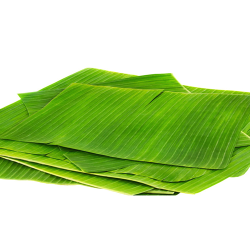 Banana leaves 500 g - Golden Turtle