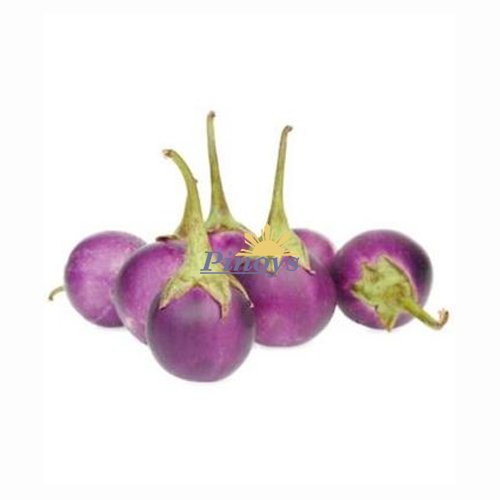 Thai Round Purple Eggplant, talong 100 g