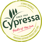 Cypressa