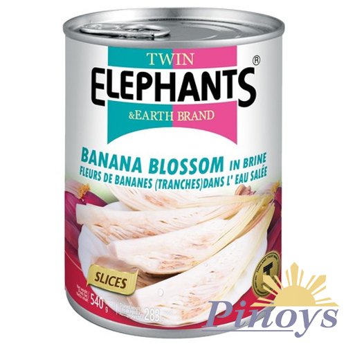 Banana Blossom Slices in Brine 510 g - Twin Elephants