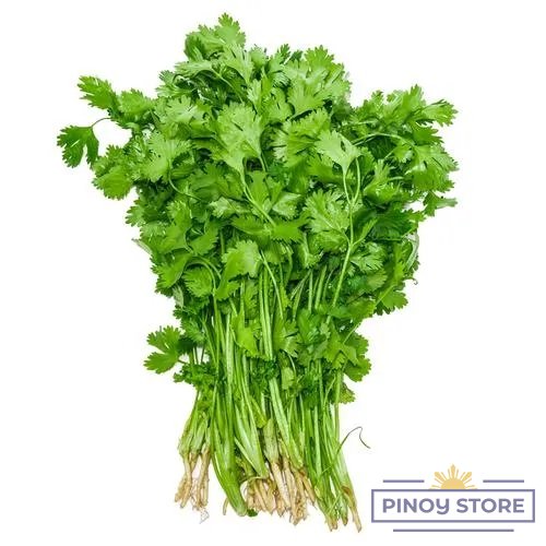 Coriander with Roots, Asia 100 g