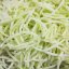 Green Papaya Slices, clean for Salad 500 g - Mooijer