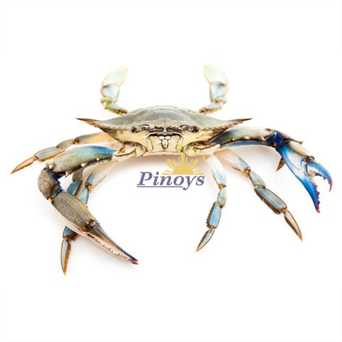 Mražený modrý krab, půlený 11/15 1 kg - Mooijer