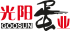 GOOSUN