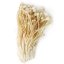 Houby Enoki 100 g