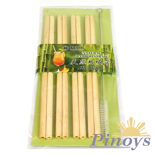Bamboo Straws with Brush, Natural (8 pcs)