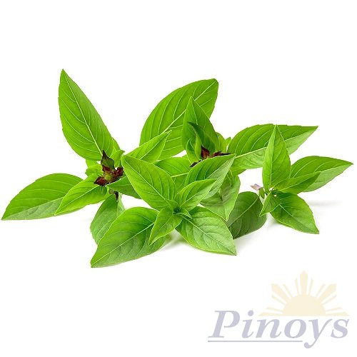 Thai basil leaves (bundle) 100 g