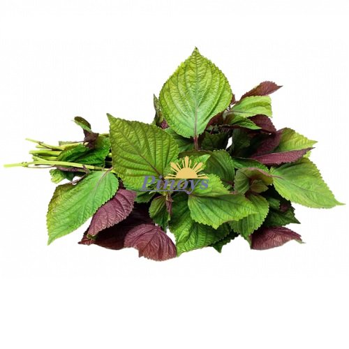 Red Perilla, Shiso 100 g