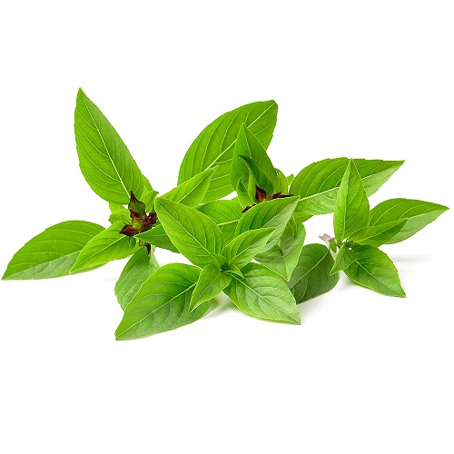Thai basil leaves 100 g