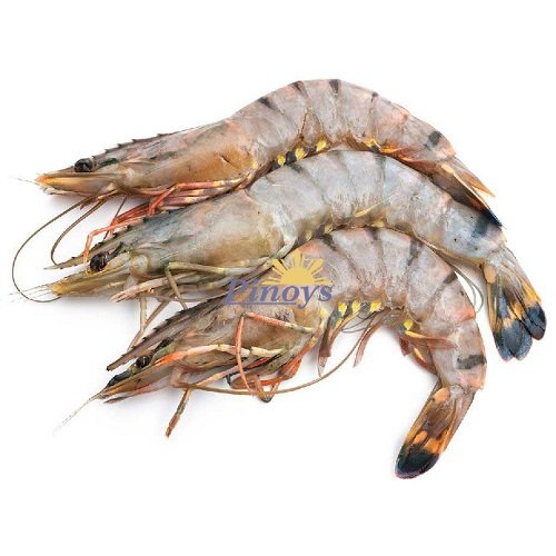 Tygří krevety 16/20, HOSO 1 kg - Asian Choice