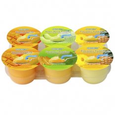 Fruit Pudding Assorted Flavours, Large 708 g - Cocon
