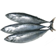 Tuňák nepravý 4/6 1 kg - Asian Pearl