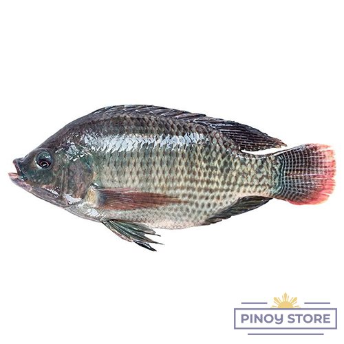Black Tilapia gutted & descaled 300/500 g a piece - Asian Choice