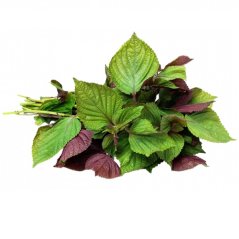 Perila, Shiso 100 g