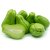 Chayote squash 1pc (cca 350 g)