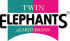 Twin Elephants