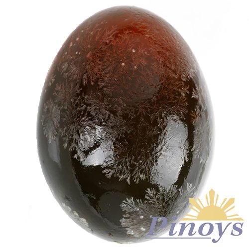Černé kachní vejce, konzervované 63 g - GOOSUN