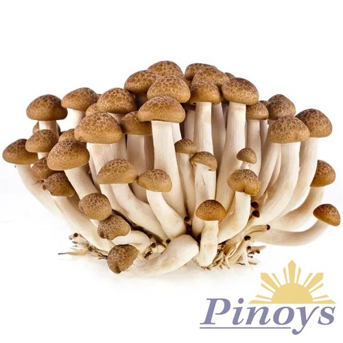 Brown Shimeji Mushrooms 150 g