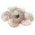 Vannamei Shrimps peeled, deveined 26/30 1 kg - Asian Choice