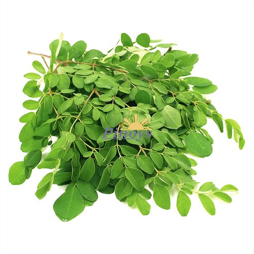Moringa listy, čerstvé 100 g