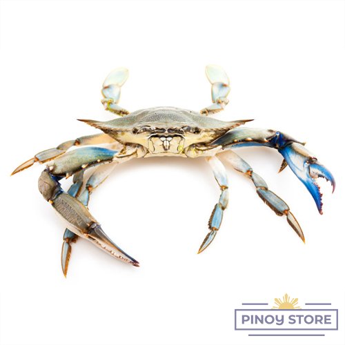 Frozen blue swimming crab, cut 6/10 1 kg - Mooijer