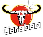 Carabao