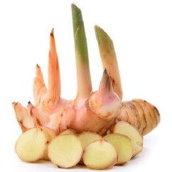 Čerstvý galangal 100 g