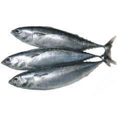Bullet Tuna, Tulingan 3/4 1 kg - DaySeaDay