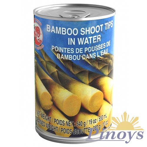 Bamboo Shoot tips in water 540 g - Cock Brand
