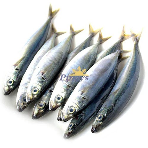 Horse (Scad) Mackerel, Galunggong whole 10/16, raw 1000 g - Asian Pearl